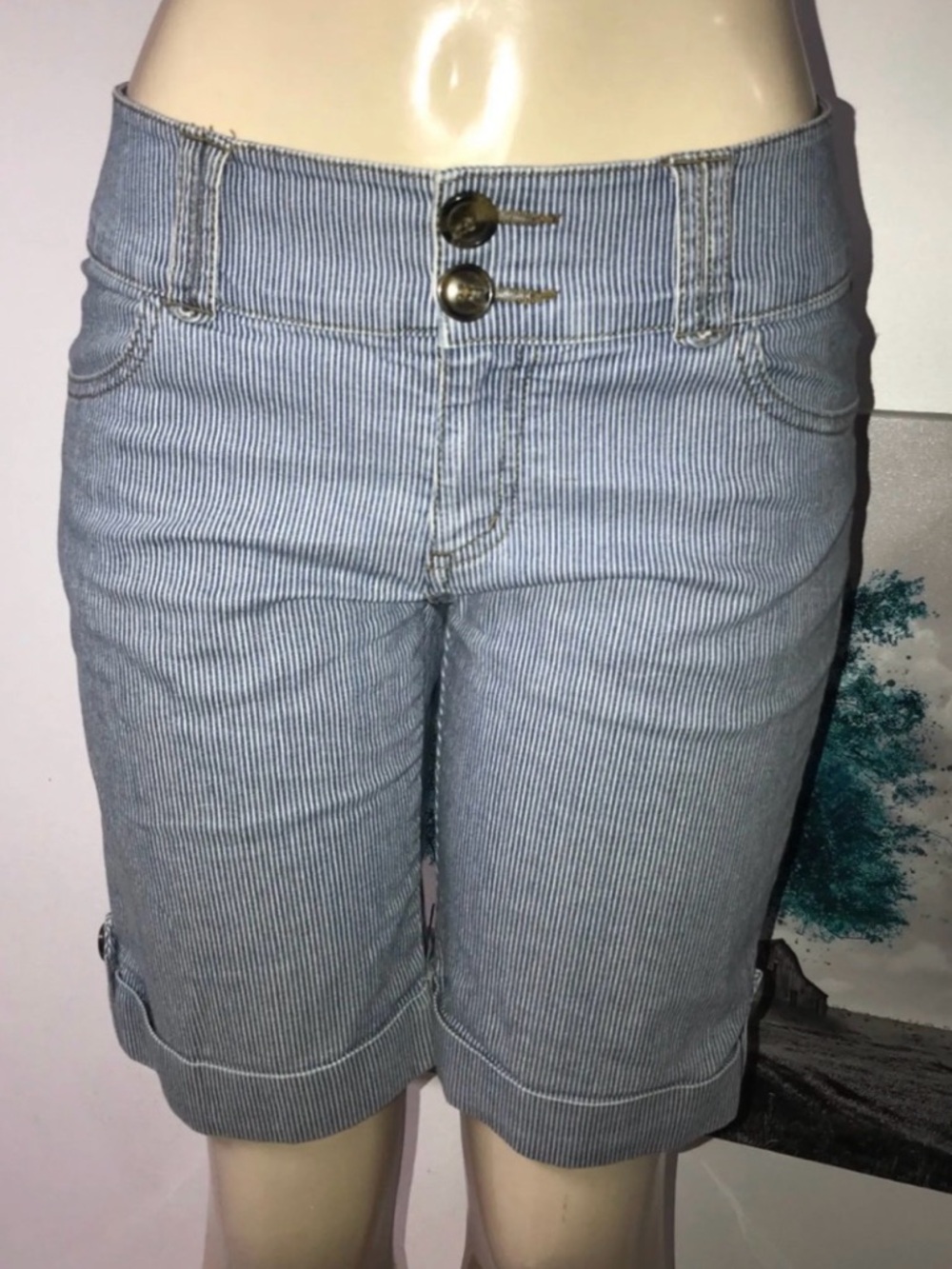 CAbi Blue Pinstripe Blue Women’s Bermuda Shorts